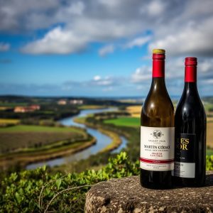Descubre la bodega Martín Códax en Cambados: vinos y vistas a la ría