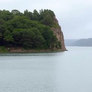 Sendeiro da Lagoa de Carregal: humidal e aves en Terra Chá