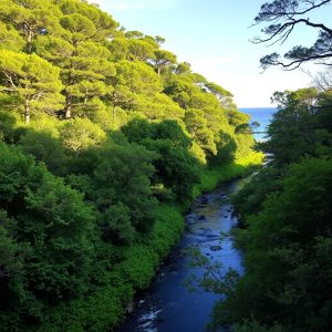 Sendeiro do río Lérez: camiñando por Pontevedra
