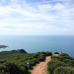 Ruta dos muíños do río Umia: patrimonio no corazón de O Salnés