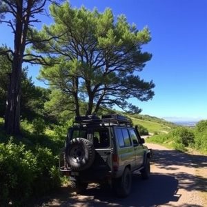 Ruta en 4×4 por la sierra de O Courel: geología y bosque mágico