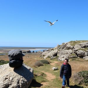 Plan con niños: parque natural de las Dunas de Corrubedo y observación de aves