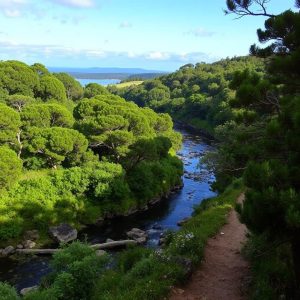 Ruta dos muíños do río Coroño: patrimonio en Bóveda