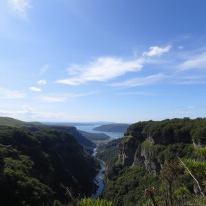 Ruta da fervenza do río Belelle: un salto escondido en Fene