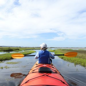 Ruta en kayak por la ría de Arousa: islas y mariscos