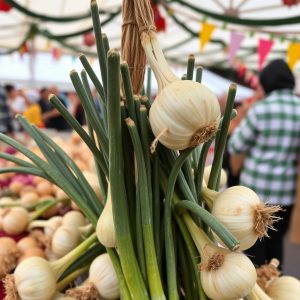 Feria de la Cebolla en Xinzo de Limia: cebola, horta, feira