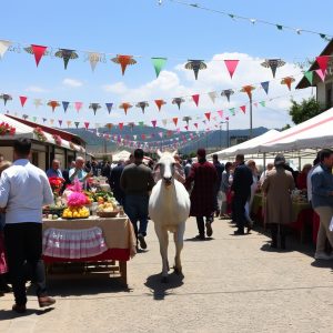 Feria de la Caza en Cerdedo-Cotobade: caza, monte, feira