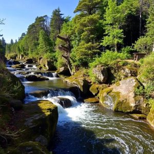 Ruta da Fervenza do Río Lérez: saltos e muíños en Cotobade