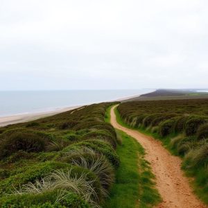Ruta das praias de Baldaio: dunas e aves en Carballo