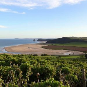 Ruta enogastronómica por la comarca de Valdeorras: vinos y castañas