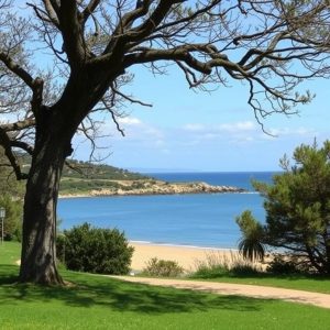 Fin de semana en Cambados: albariño y paseo por la Alameda