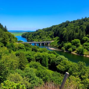 Sendeiro do Río Landro: pontes e muíños en Viveiro