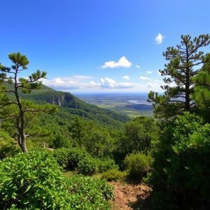 Travesía da Serra do Courel (variante Seoane-Lousada): fragas e aldeas