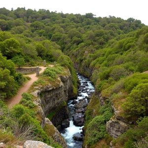 Ruta dos Muíños do Río Barcala: patrimonio hidráulico en Negreira