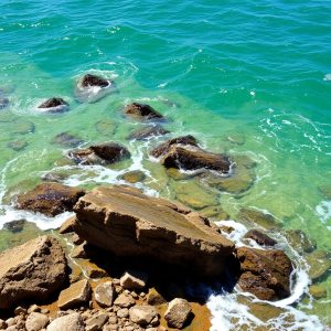 Ruta de las algas en la Costa da Morte: gastronomía y playas