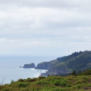 Travesía do Parque Natural do Invernadeiro: fragas e fauna en Vilariño de Conso