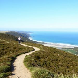 Ruta das Illas de Ons: sendeiro circular e praias virxes