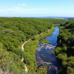 Sendeiro do Río Sar: paseo entre muíños e pazos en Padrón
