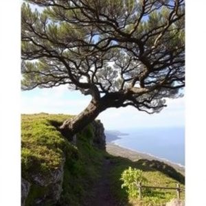 Ruta do Encoro de Belesar: auga e fragas no canón do Sil