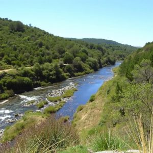 Camiño do Río Lérez: ruta de muíños e pontes en Pontevedra