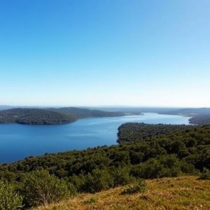 Sendeiro do Lago de Castelo (Cualedro): lago e bosque na Limia