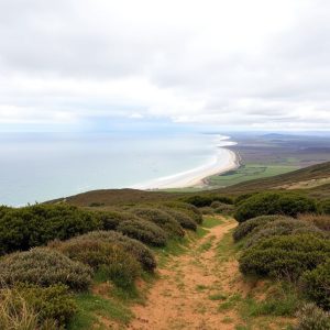 Ruta das Cíes: sendeiro polo arquipélago e praias de area branca