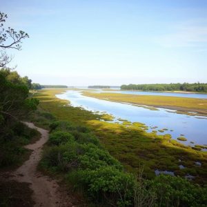 Sendeiro dos Muíños do Río Tea: muíños e fervenzas en O Condado