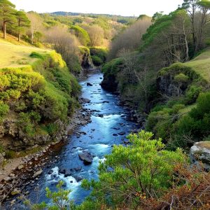 Sendeiro do Río Castro: fervenzas e muíños en Laxe