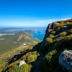 Ascensión ao Monte da Groba: vistas da Ría de Baiona