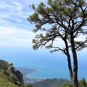 Ascensión ao Monte da Moa: cumio e petróglifos en Cerdedo