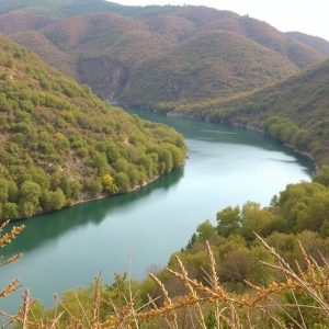 Plan de otoño: castañas y vino en la Ribeira Sacra