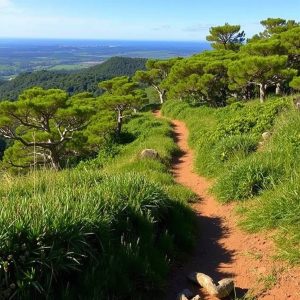 Travesía da Serra da Cabeza de Rey: cumios e fragas en Posmarcos