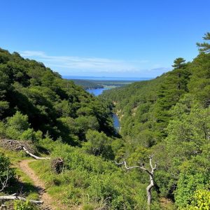 Sendeiro do Río Ulla: de Padrón a Pontecesures