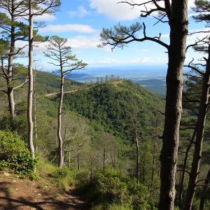 Ruta de los bosques encantados de la sierra de O Courel