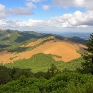 Ruta de los bosques de quejigos y alcornoques en la sierra del Barbanza