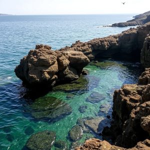 Las mejores rutas de buceo en Galicia