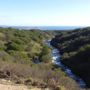 Ruta das Fervenzas do Río Toxa: pozas en Silleda