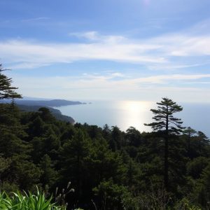 Ruta das Fragas do Eume: bosque atlántico en Pontedeume