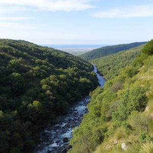 Sendeiro do Río Miño: de Lugo a Ribadeo