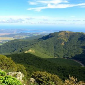 Sendeiro do Miradoiro da Curota: vistas dende Boiro