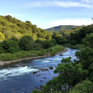 Sendeiro do Río Ulla: pesqueiras e pazos en Padrón