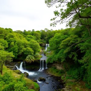 Ruta das Fervenzas do Río Ferreira: cascadas y paisajes en San Sadurniño