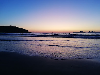 Canas - portada