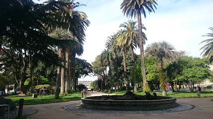 Palmera, La - portada