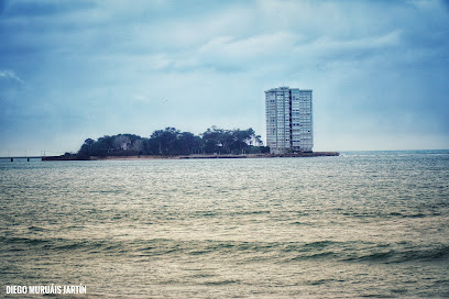 Toralla - portada