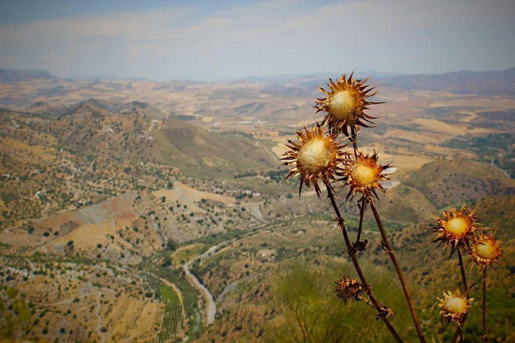 Ruta dos viños tinto da D.O. Ribeira Sacra con miradoiros