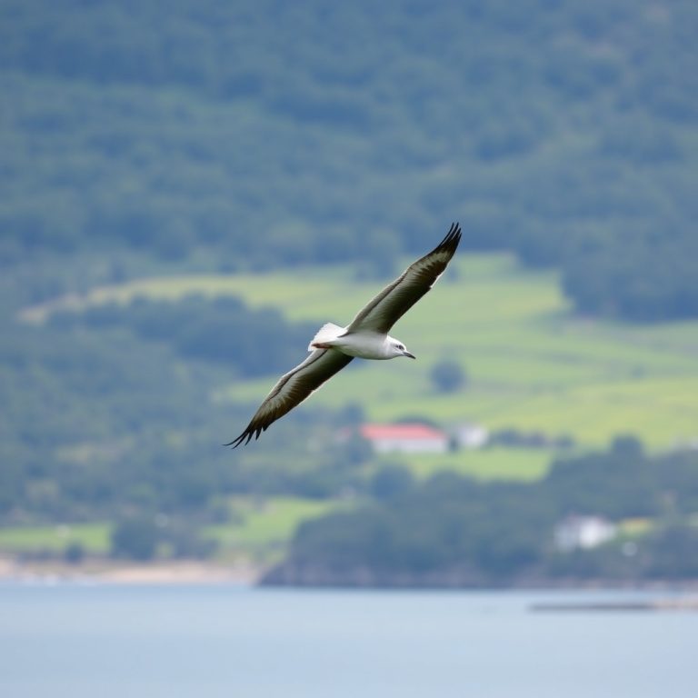 **Planes para disfrutar del turismo de aves en las Rías Baixas**