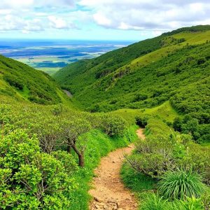 Ruta por la Serra da Loba: descubriendo el nacimiento del río Eo en la montaña lucense