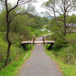 Ruta por la Illa de Arousa: puente, naturaleza y carballones en las Rías Baixas