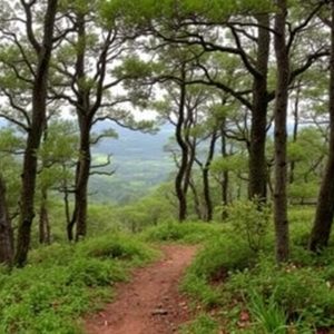 TITULO: Travesía por la Serra da Loba en Lugo: bosques y aldeas de la montaña lucense